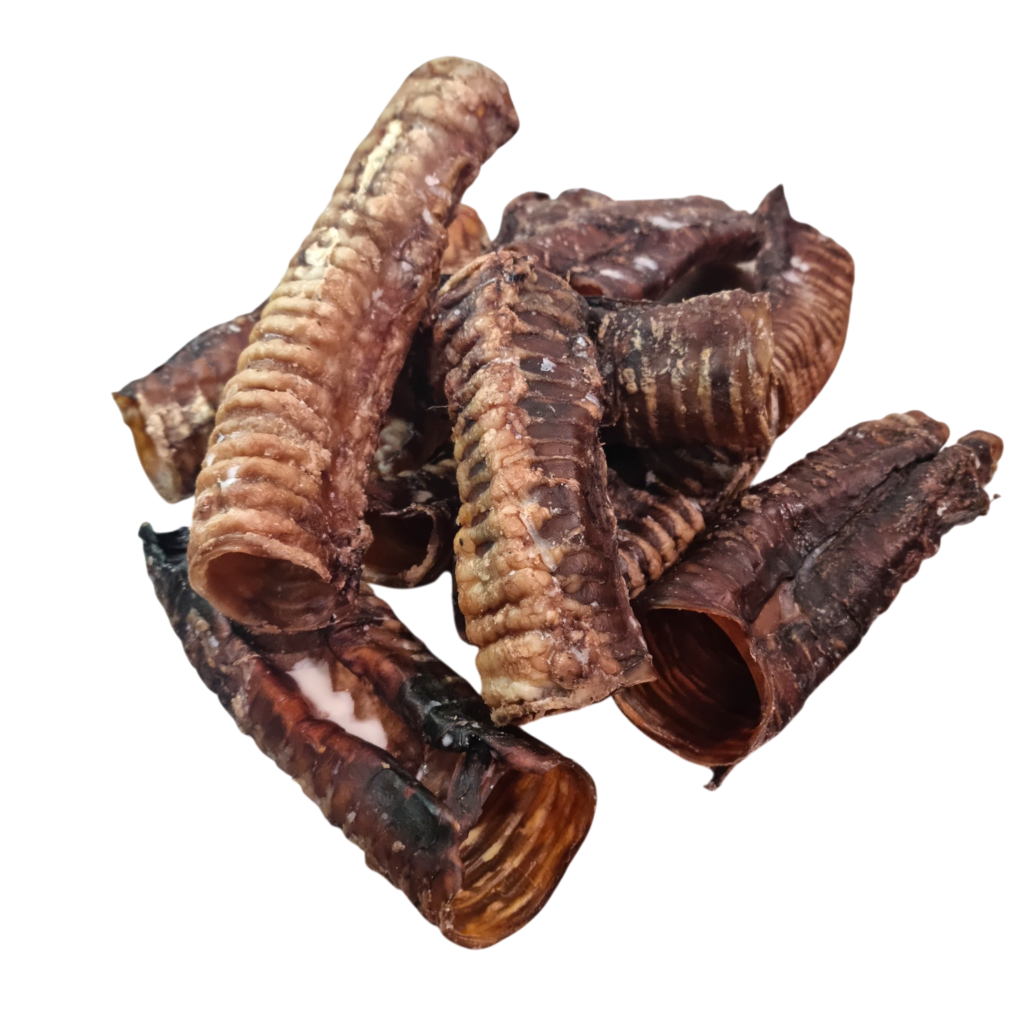 Beef Trachea "Moo Tubes" - 10 Pack
