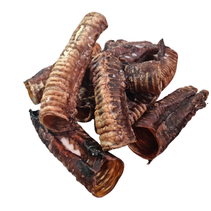 Beef Trachea "Moo Tubes" - 10 Pack