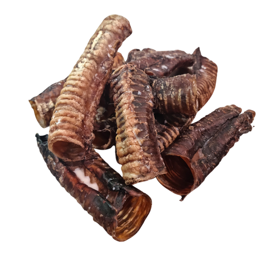 Beef Trachea "Moo Tubes" - 10 Pack