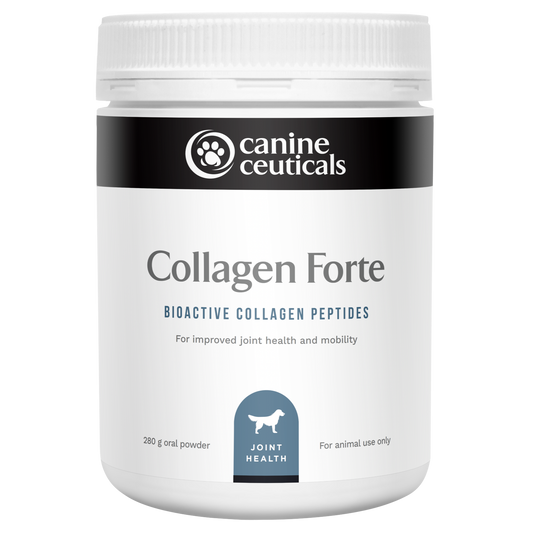 Collagen Forte Hydrolysed Collagen Peptides 300g - Canine Ceuticals