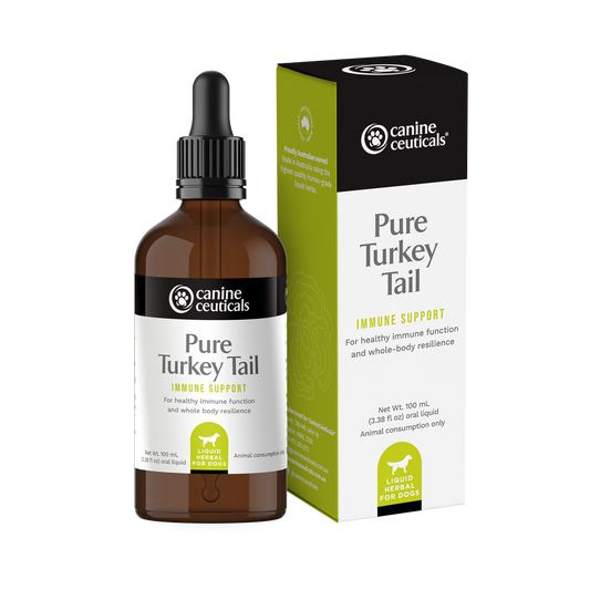 Pure Turkey Tail Mushroom Immune Support 100mL - Canine Ceuticals