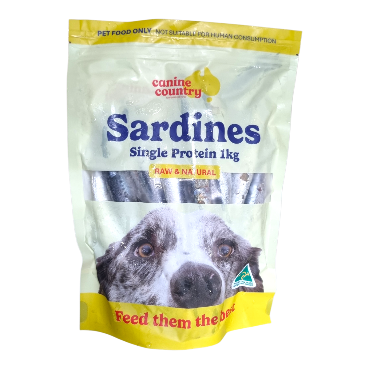 1kg Fresh Frozen Sardines