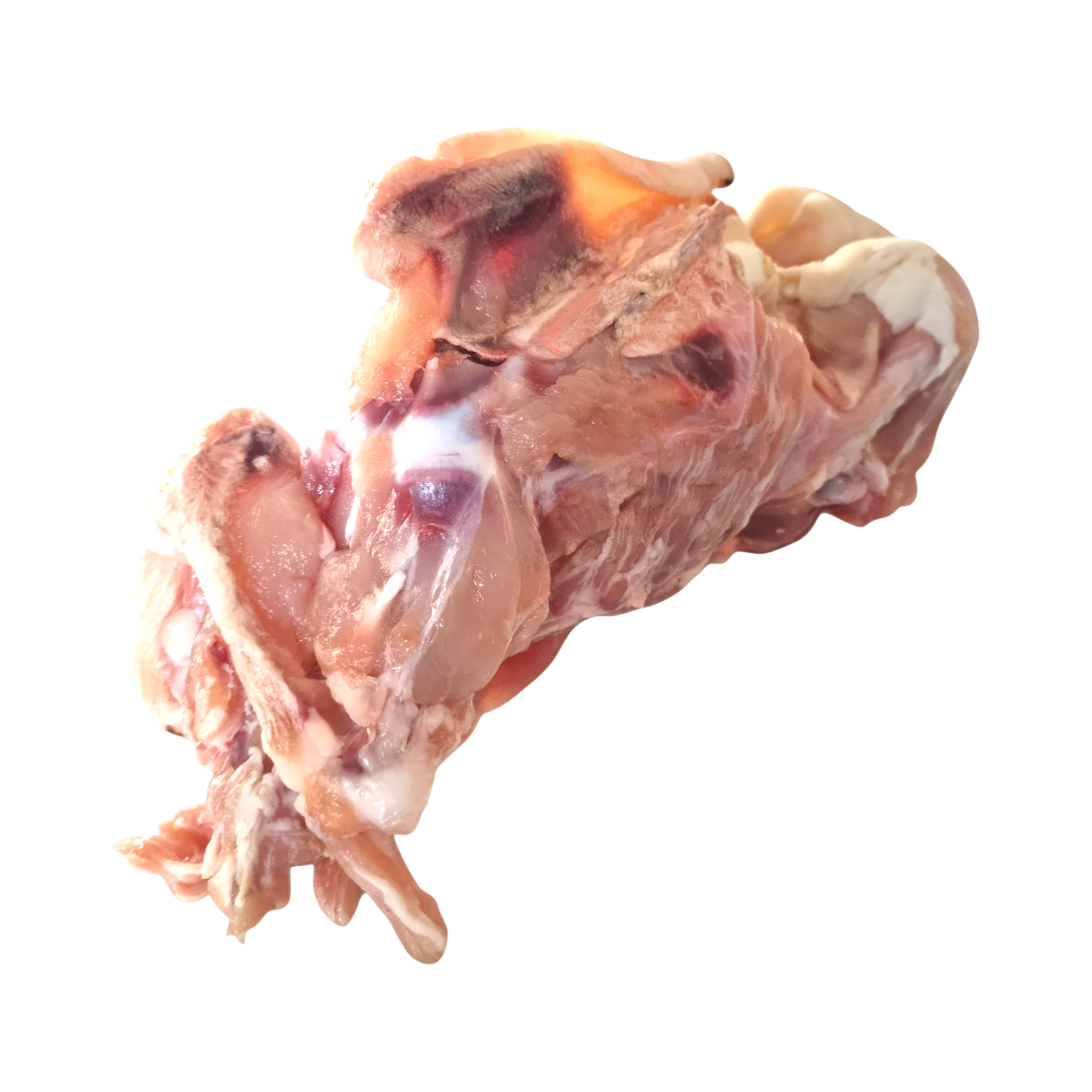 Chicken Frame - TWO Frames