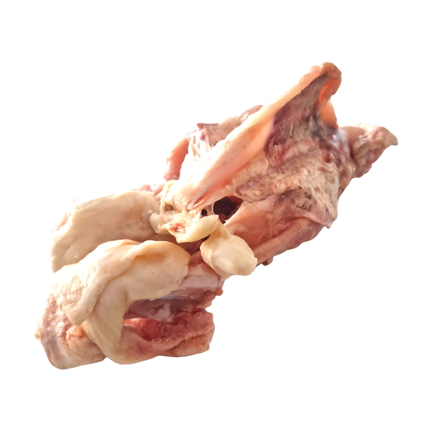 Chicken Frame - TWO Frames