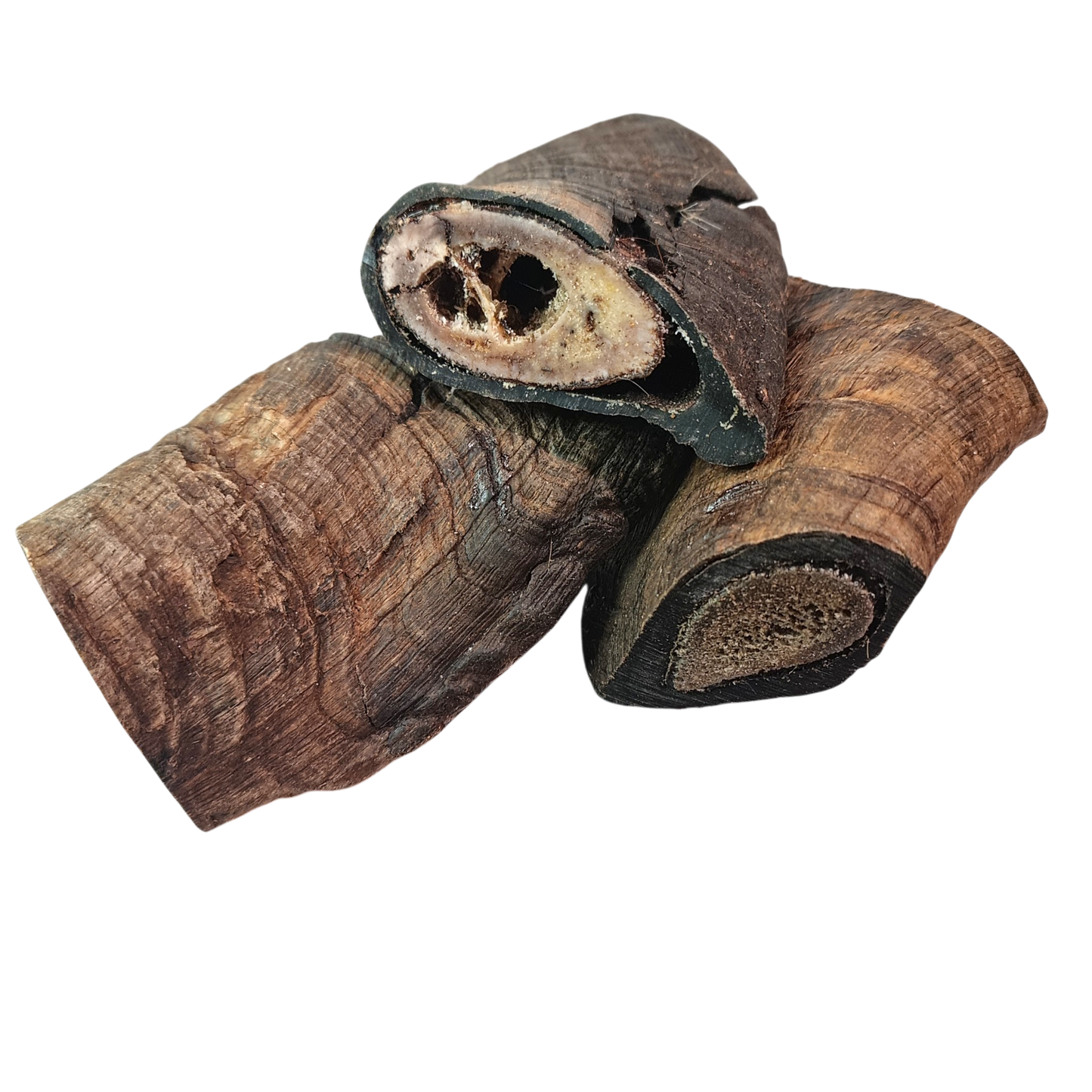 Goat Horn - short (butts)