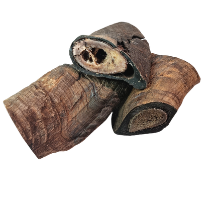 Goat Horn - short (butts)