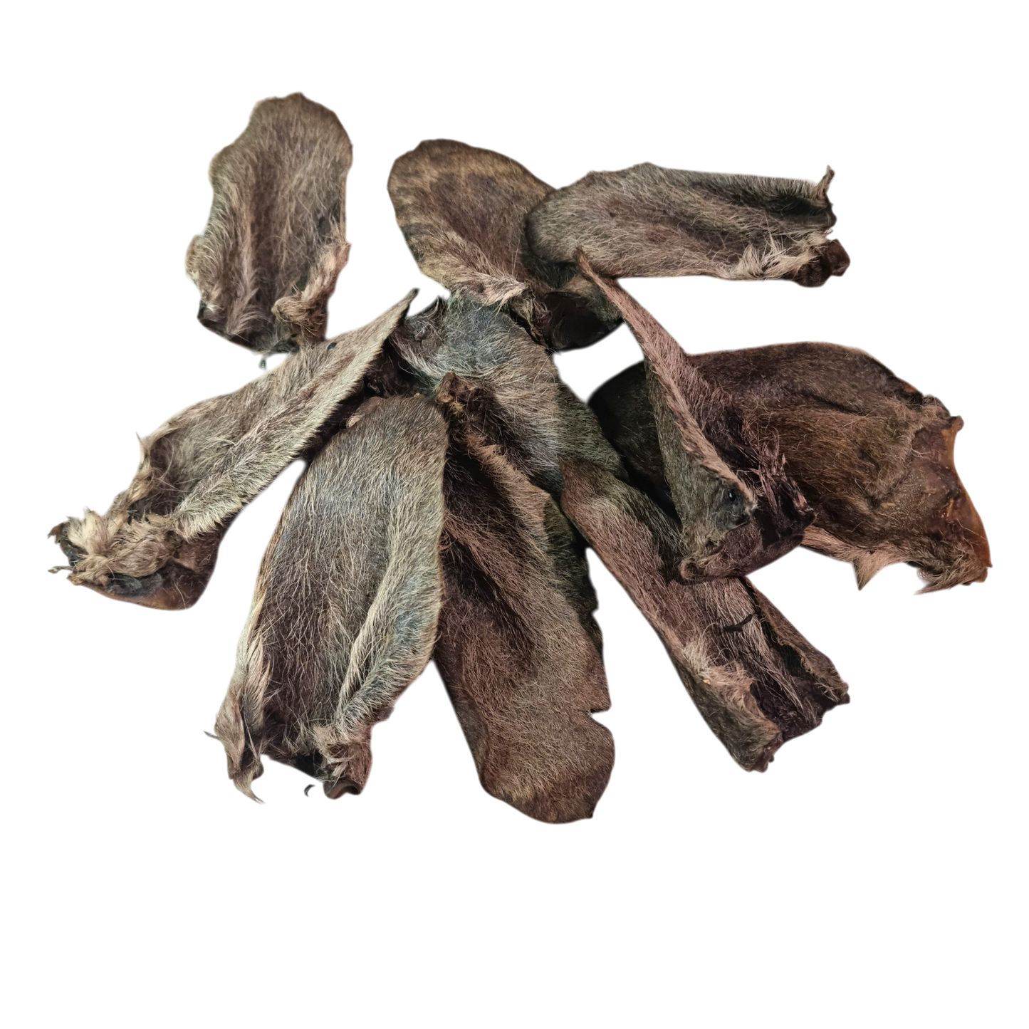 Kangaroo Ears with fur on - 10 pack