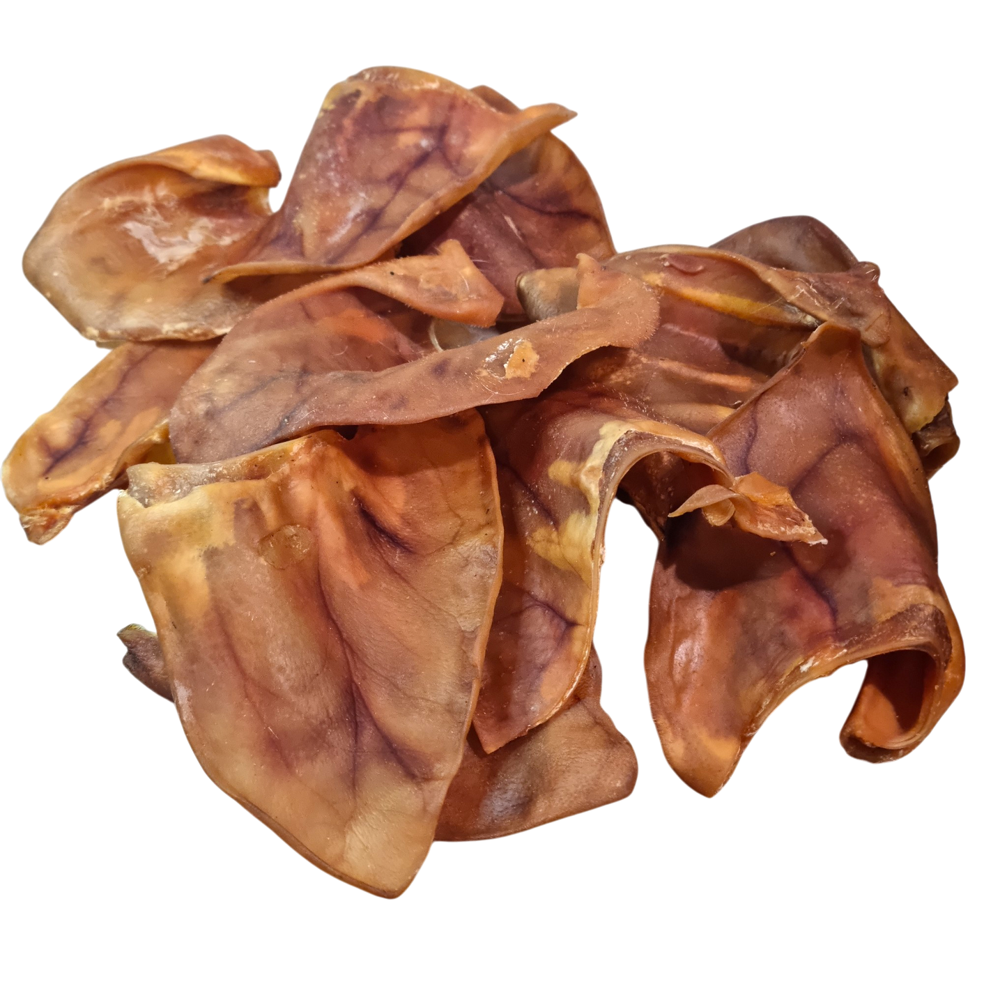 Pig Ears - 10 Pack