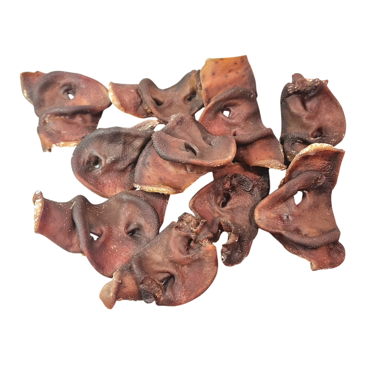 Pig Snouts - 10 Pack