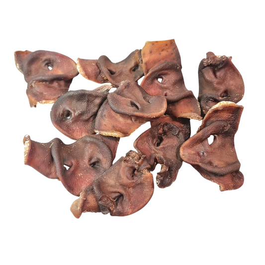 Pig Snouts - 10 Pack