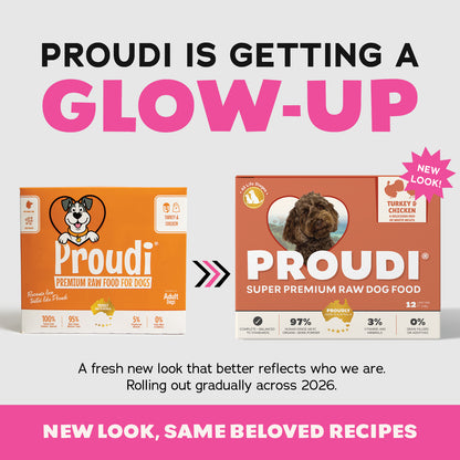 Proudi Turkey & Chicken 2.4kg