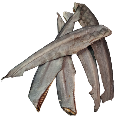 Shark Tail Chews - 5 Pack