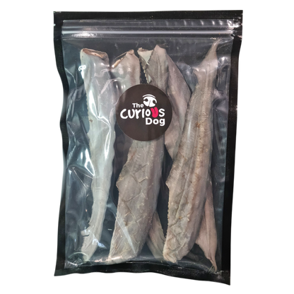 Shark Tail Chews - 5 Pack