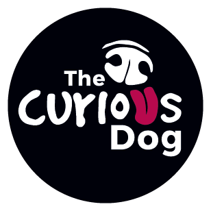 The Curious Dog