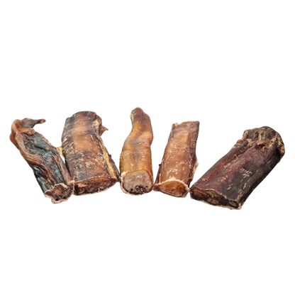 Tough Bully Sticks - Short - 15cm