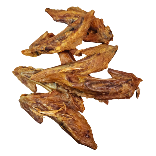 Turkey Wing Tips - 5 Pack