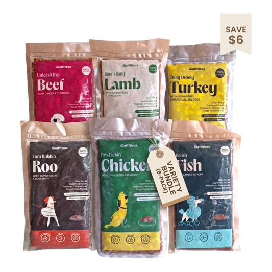 Wolfit Box Variety Pack