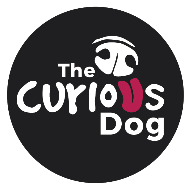 The Curious Dog
